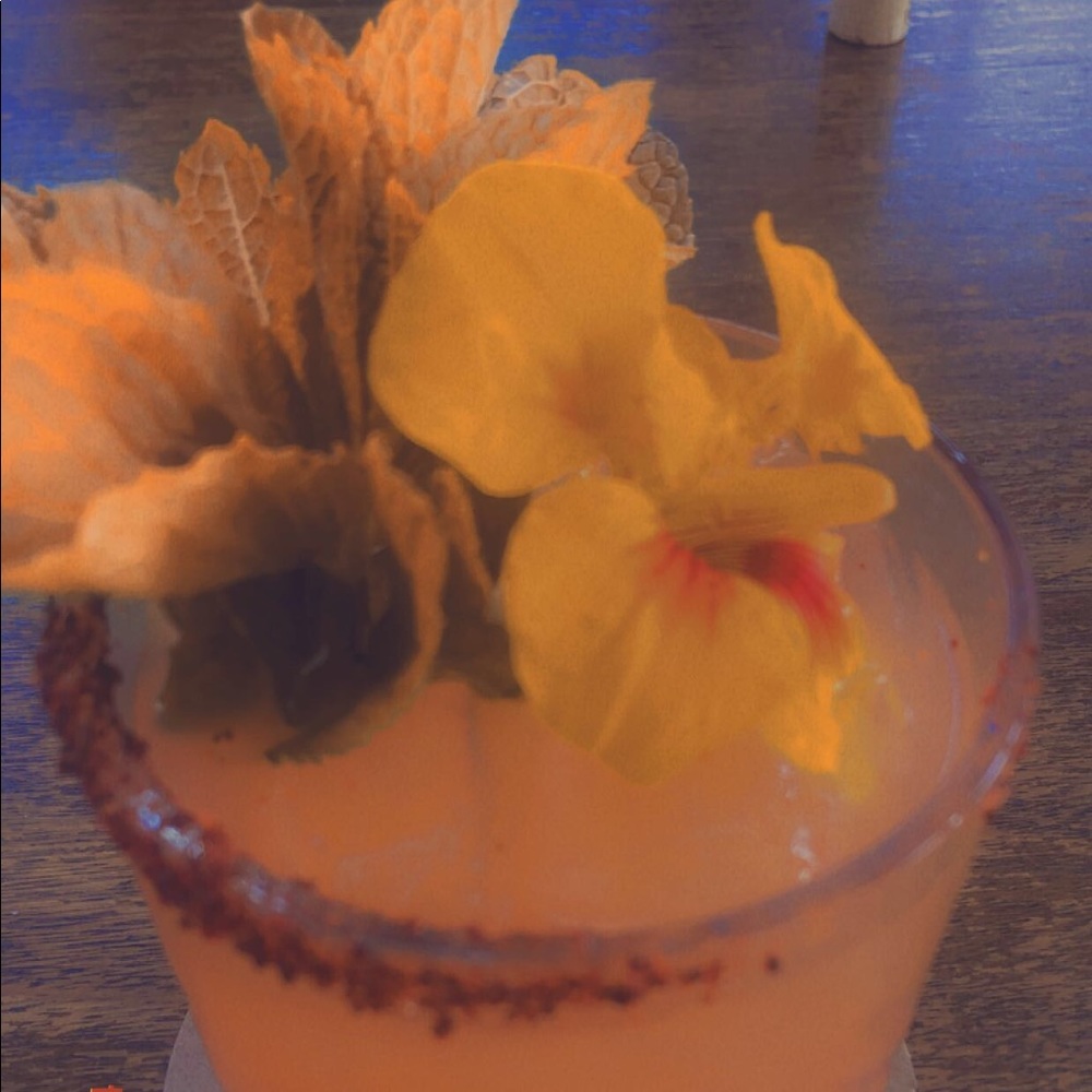 Meet your Posher, Ana